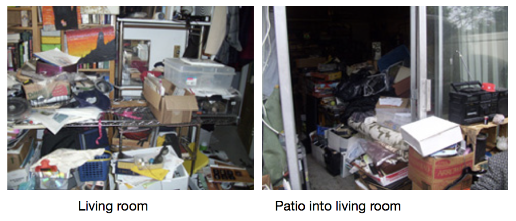 Chronic Disorganization Living Room and Patio